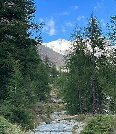 Petit Bijou - Corbet - Monolocale Con Divano Letto In - Massimo 3 Persone Apartament Champoluc